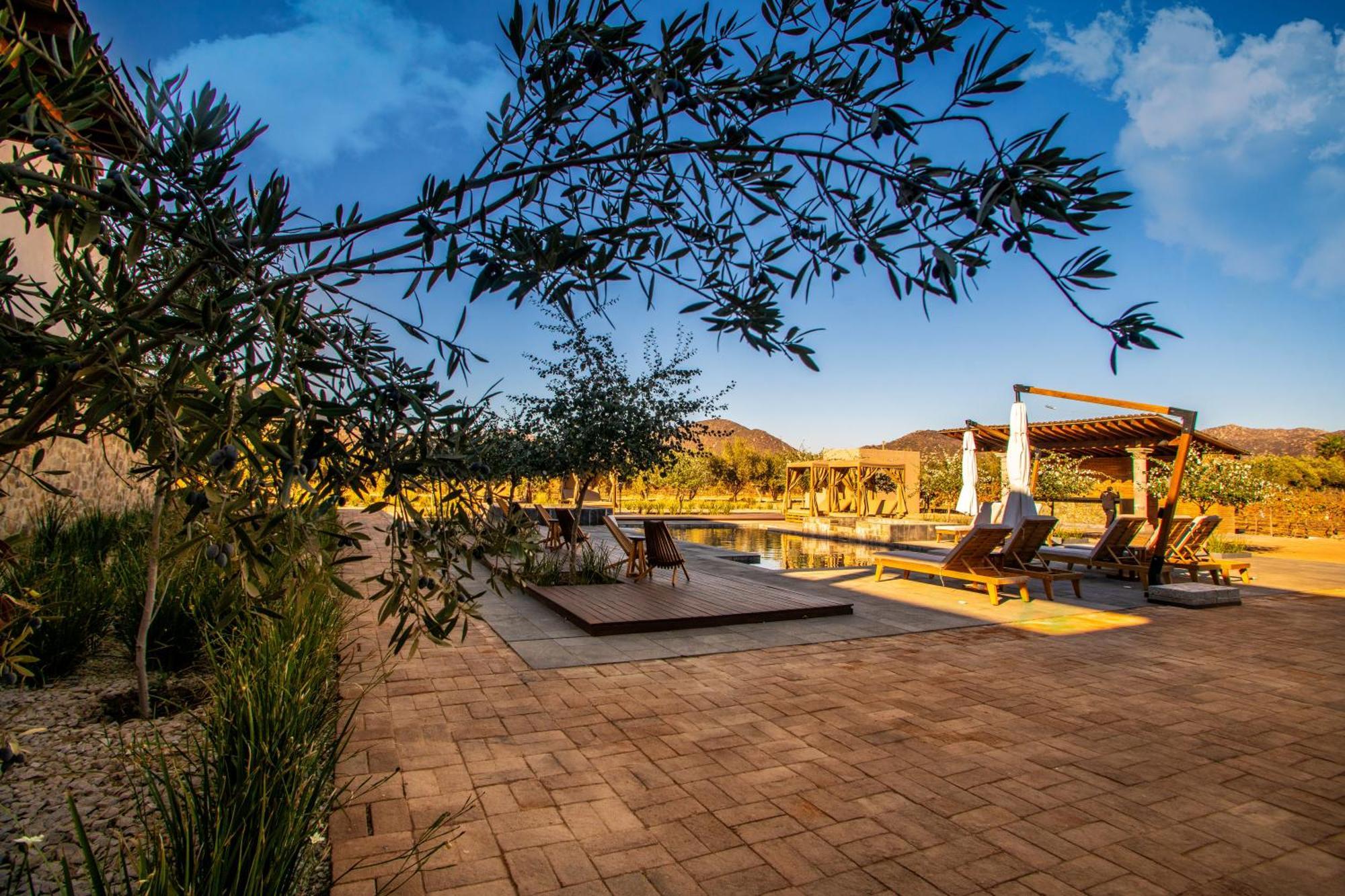 Hotel Flores De Sal-Valle De Guadalupe Dış mekan fotoğraf