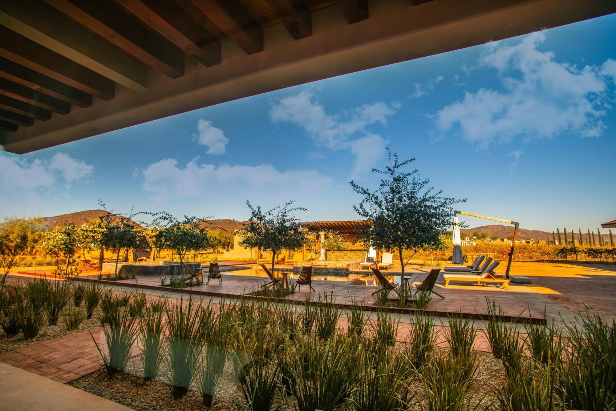 Hotel Flores De Sal-Valle De Guadalupe Dış mekan fotoğraf