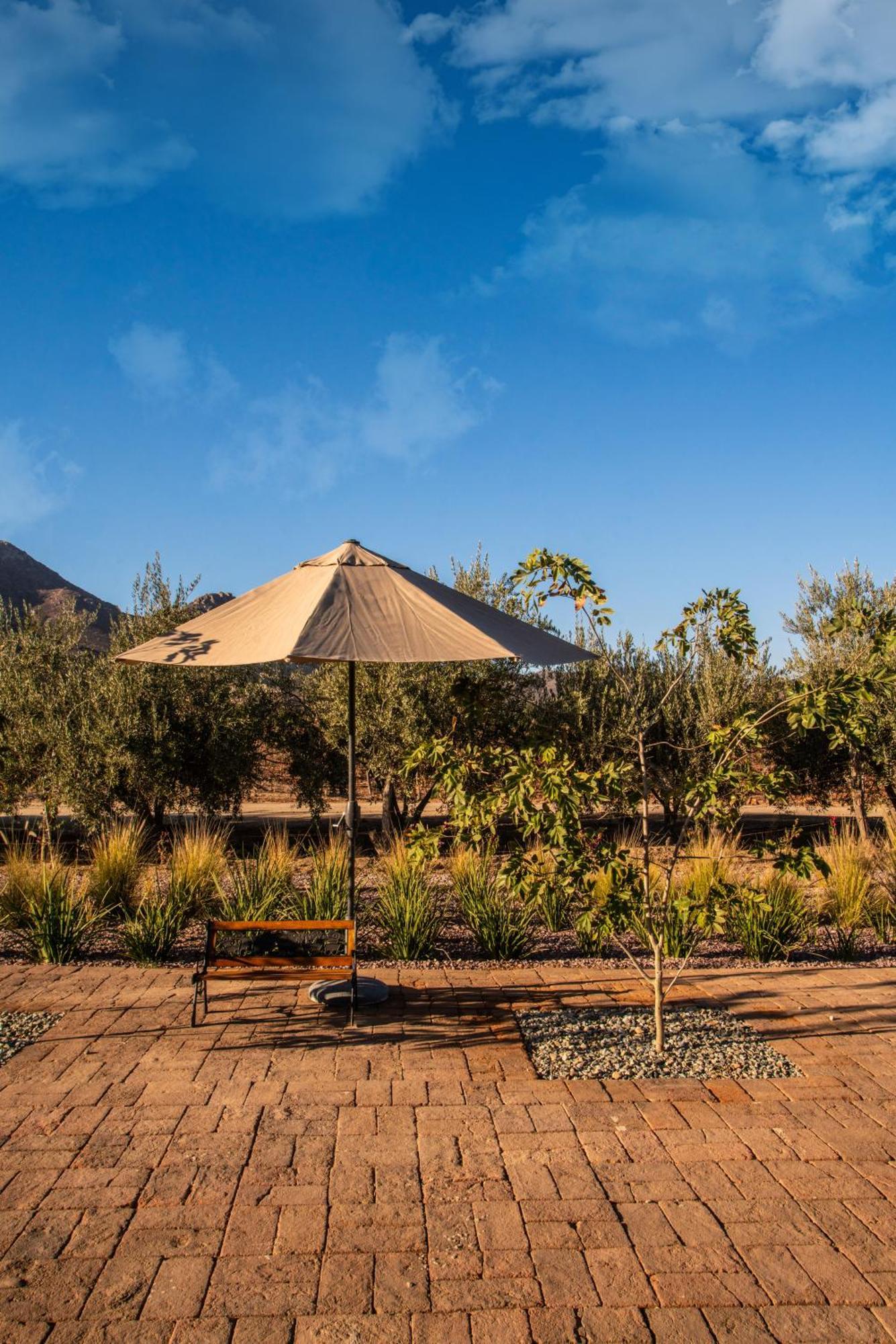 Hotel Flores De Sal-Valle De Guadalupe Dış mekan fotoğraf