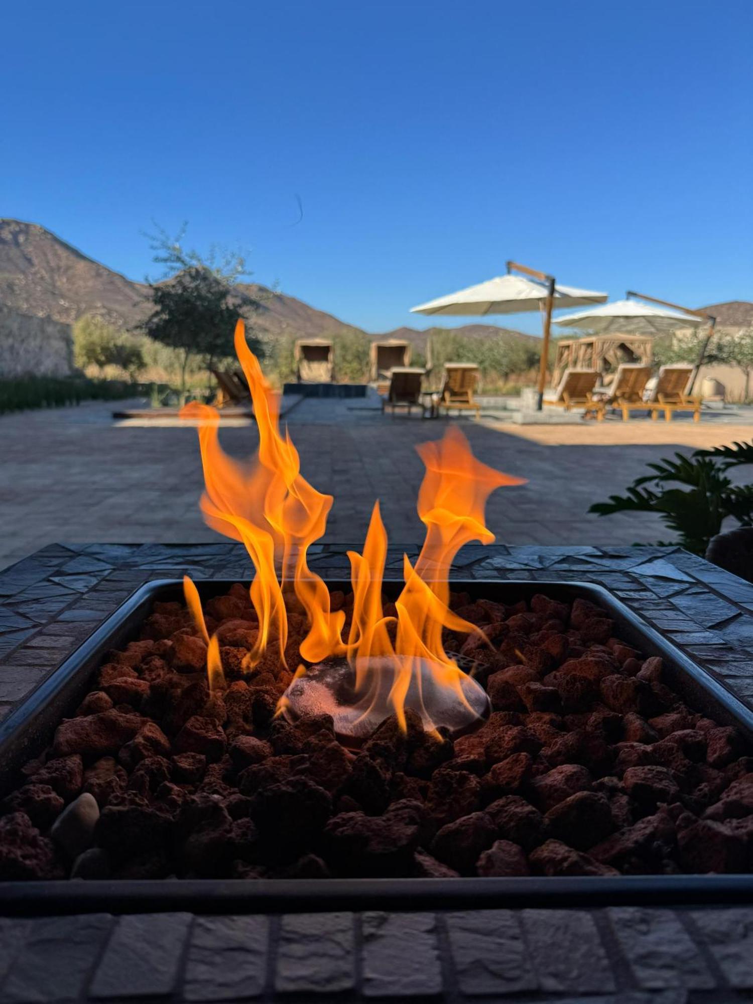 Hotel Flores De Sal-Valle De Guadalupe Dış mekan fotoğraf